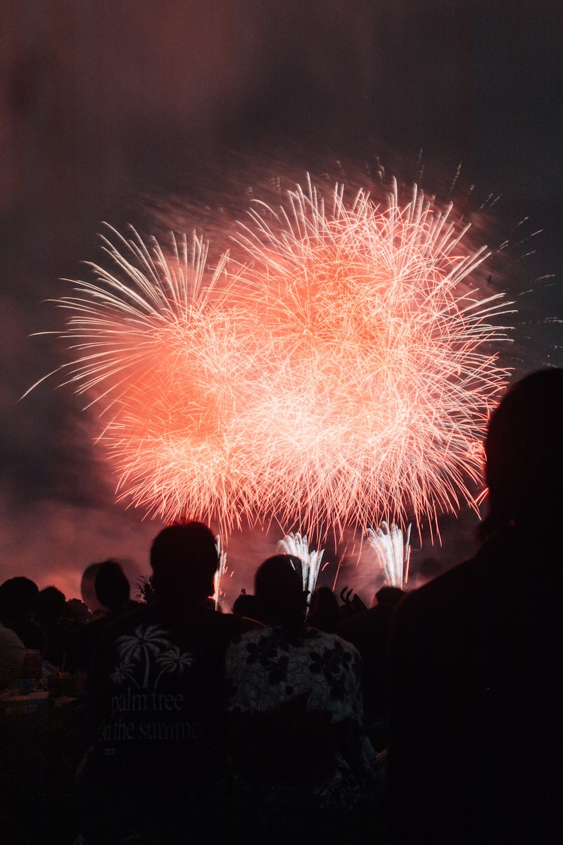 A group of people watching a fireworks display